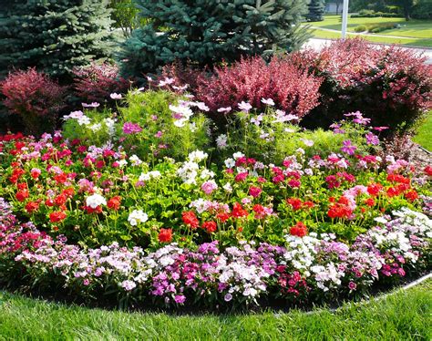 How to Maintain and Enhance Your Magical Touch Landscaping Design
